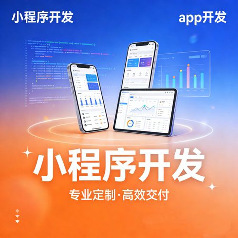 软件定制开发